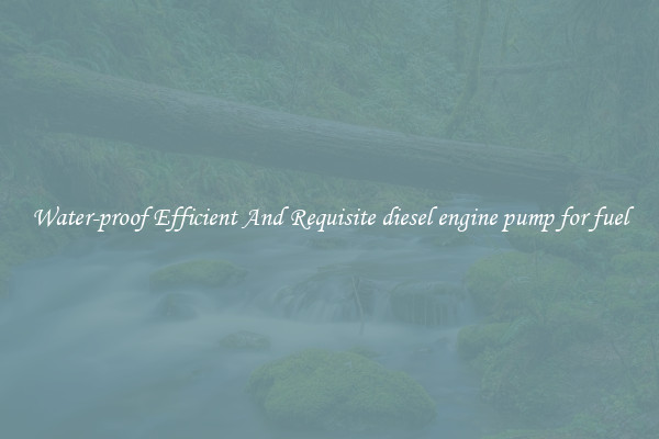 Water-proof Efficient And Requisite diesel engine pump for fuel