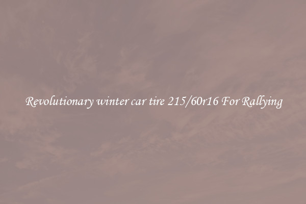 Revolutionary winter car tire 215/60r16 For Rallying