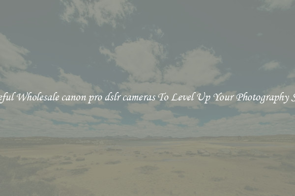 Useful Wholesale canon pro dslr cameras To Level Up Your Photography Skill
