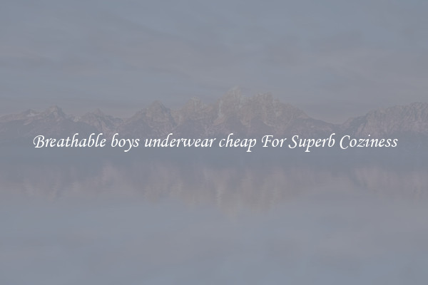 Breathable boys underwear cheap For Superb Coziness