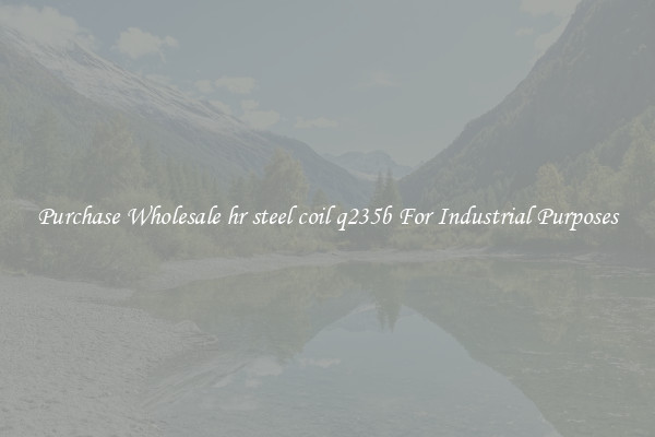 Purchase Wholesale hr steel coil q235b For Industrial Purposes