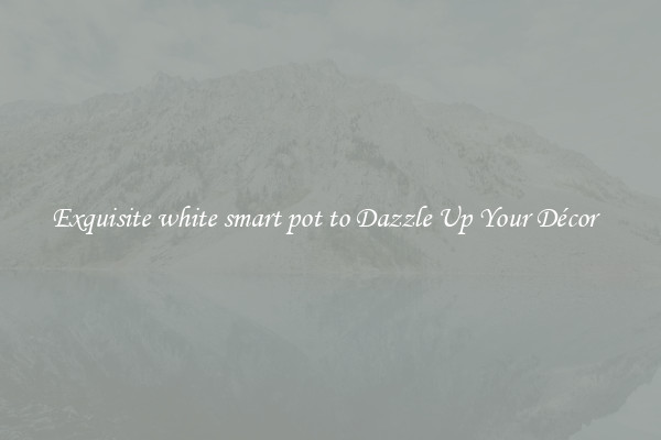 Exquisite white smart pot to Dazzle Up Your Décor  