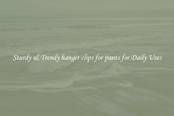 Sturdy & Trendy hanger clips for pants for Daily Uses