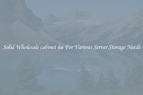 Solid Wholesale cabinet 6u For Various Server Storage Needs