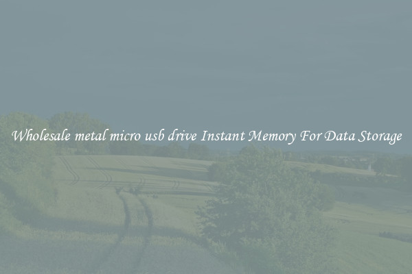 Wholesale metal micro usb drive Instant Memory For Data Storage