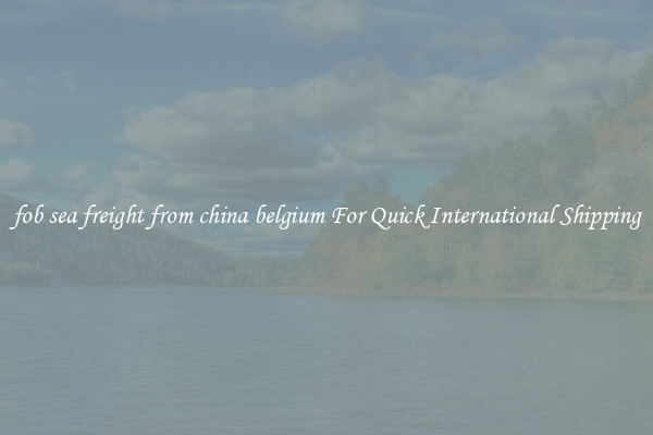 fob sea freight from china belgium For Quick International Shipping
