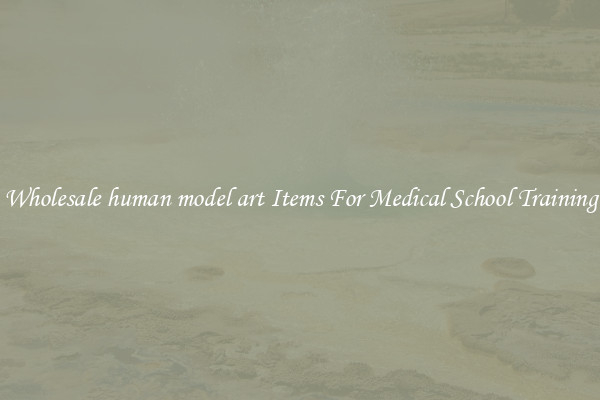 Wholesale human model art Items For Medical School Training