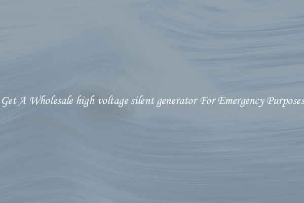 Get A Wholesale high voltage silent generator For Emergency Purposes