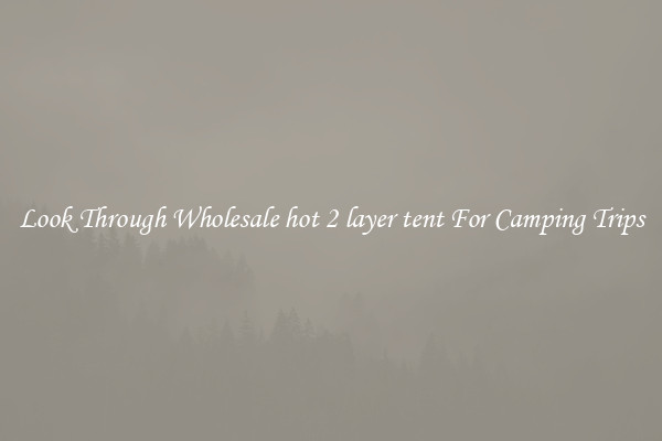 Look Through Wholesale hot 2 layer tent For Camping Trips