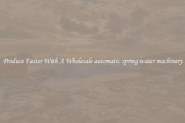Produce Faster With A Wholesale automatic spring water machinery
