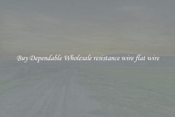 Buy Dependable Wholesale resistance wire flat wire